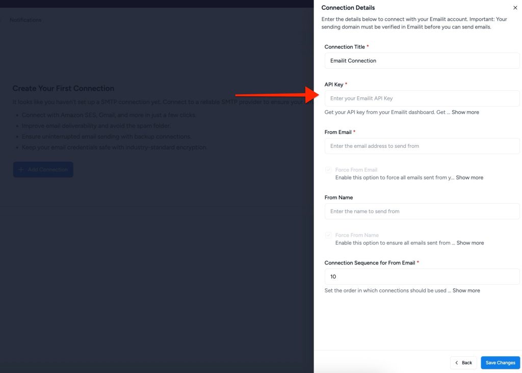 Emailit Paste API Key